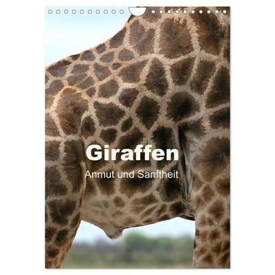 Giraffen - Anmut und Sanftheit (Wandkalender 2027 DIN A4 hoch), CALVENDO Monatskalender