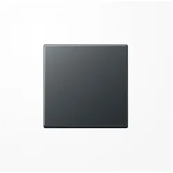 JUNG Wippe 1t Schalter A anth mt A1700BFANM, Schalter + Taster, Grau