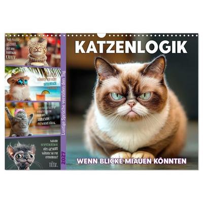 Katzenlogik - Wenn Blicke miauen könnten (Wandkalender 2027 DIN A3 quer), CALVENDO Monatskalender