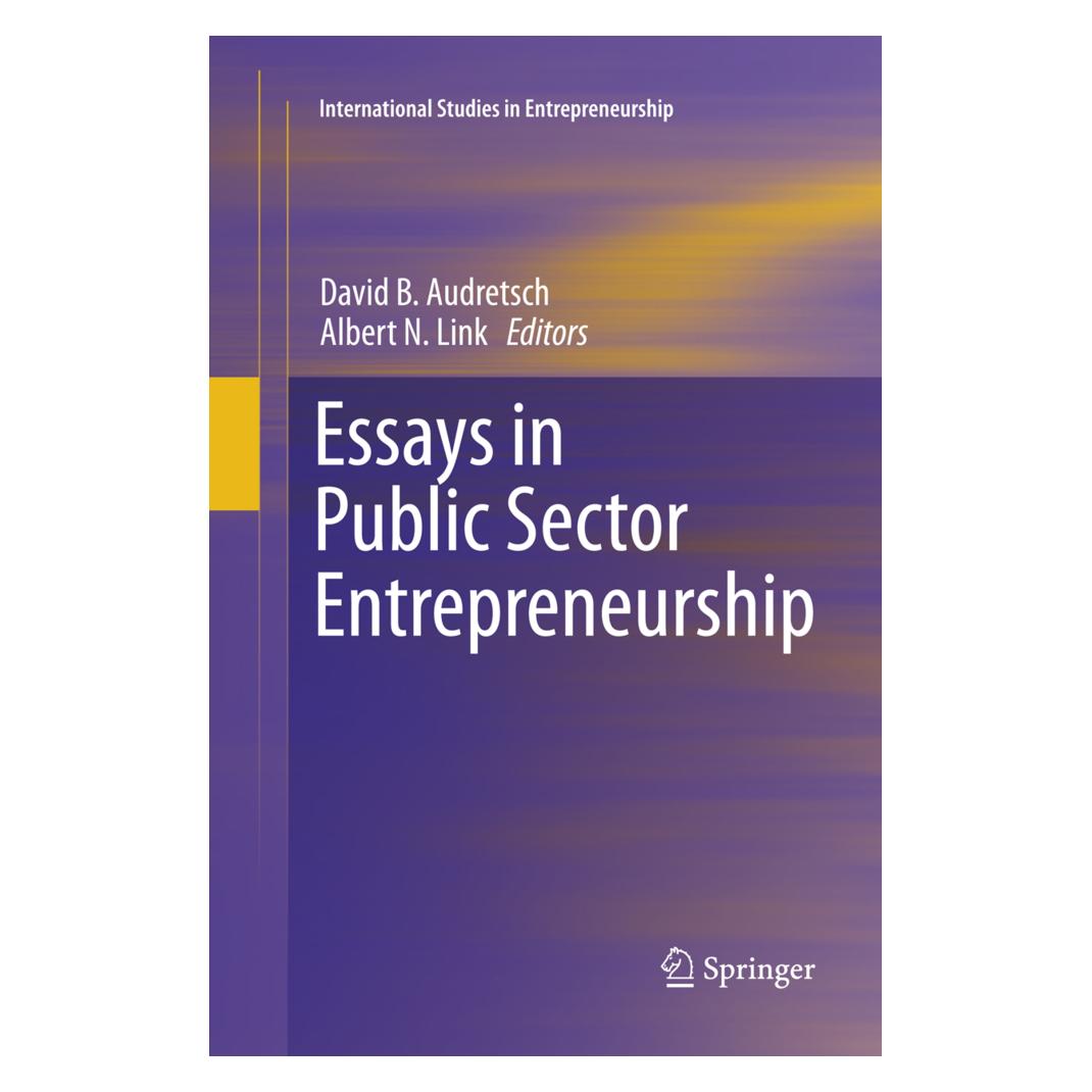 Springer Essays in Public Sector Entrepreneurship (Englisch, Softcover, Albert N. Link, David B. Audretsch) (56003852)