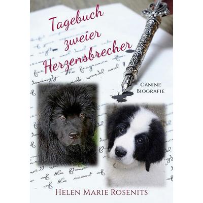 Tagebuch zweier Herzensbrecher, Taschenbuch von Helen Marie Rosenits, BoD – Books on Demand, 978-3-7583-0525-2