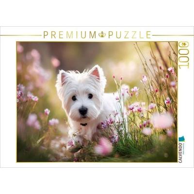 CALVENDO Puzzle West Highland White Terrier - Mitten im Sommerglück | 1000 Teile Lege-Größe 64 × 48 cm Foto-Puzzle für glückliche Stunden, von ,