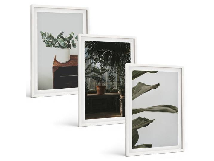 Tulup Bilder SET 3er Set - 40x60 cm Weißer Rahmen - Rustikale Topfpflanzen, Kunststoff, Rechteckig, 40x60 cm, Fotografie, Bilder & Rahmen, Bilder