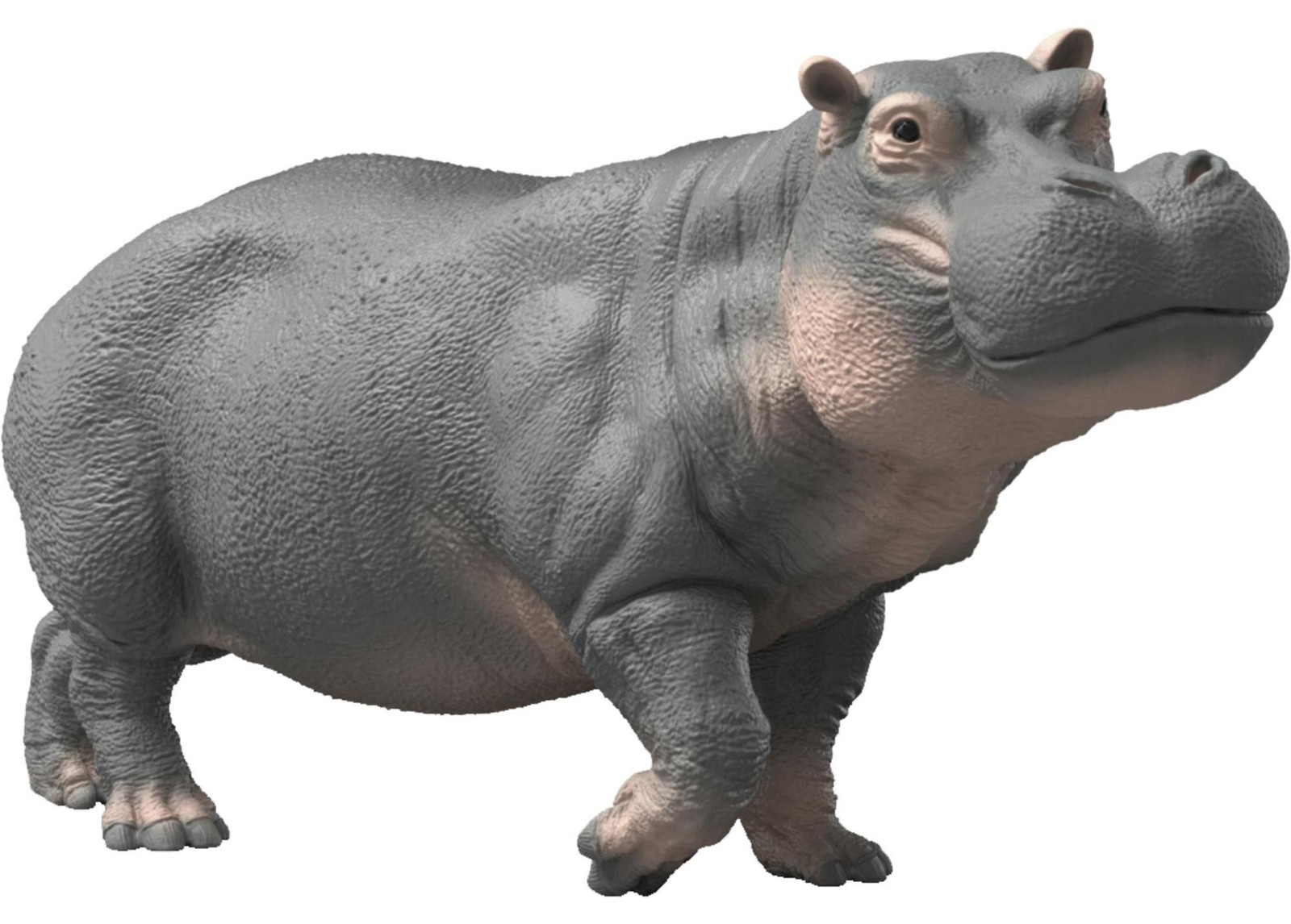 Schleich Wild Life Nijlkever