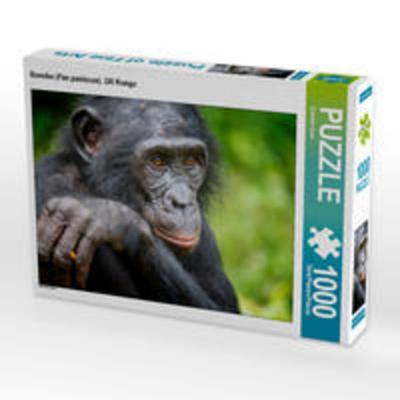 CALVENDO Puzzle Bonobo (Pan paniscus), DR Kongo | 1000 Teile Lege-Größe 64x48cm Foto-Puzzle für glückliche Stunden