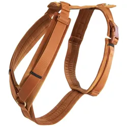 Kentucky Dogwear Hundegeschirr Active Velvet (XL, Hund, Allgemein, Hundesport, Spazieren), Halsband + Leine