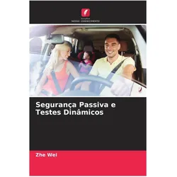 Segurança Passiva e Testes Dinâmicos, Ratgeber von Zhe Wei
