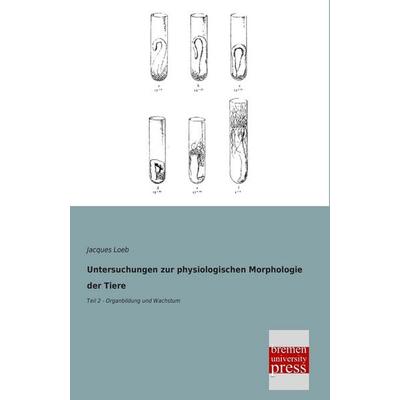 Untersuchungen zur physiologischen Morphologie der Tiere, Taschenbuch von Jacques Loeb, Bremen University Press, 978-3-95562-483-5