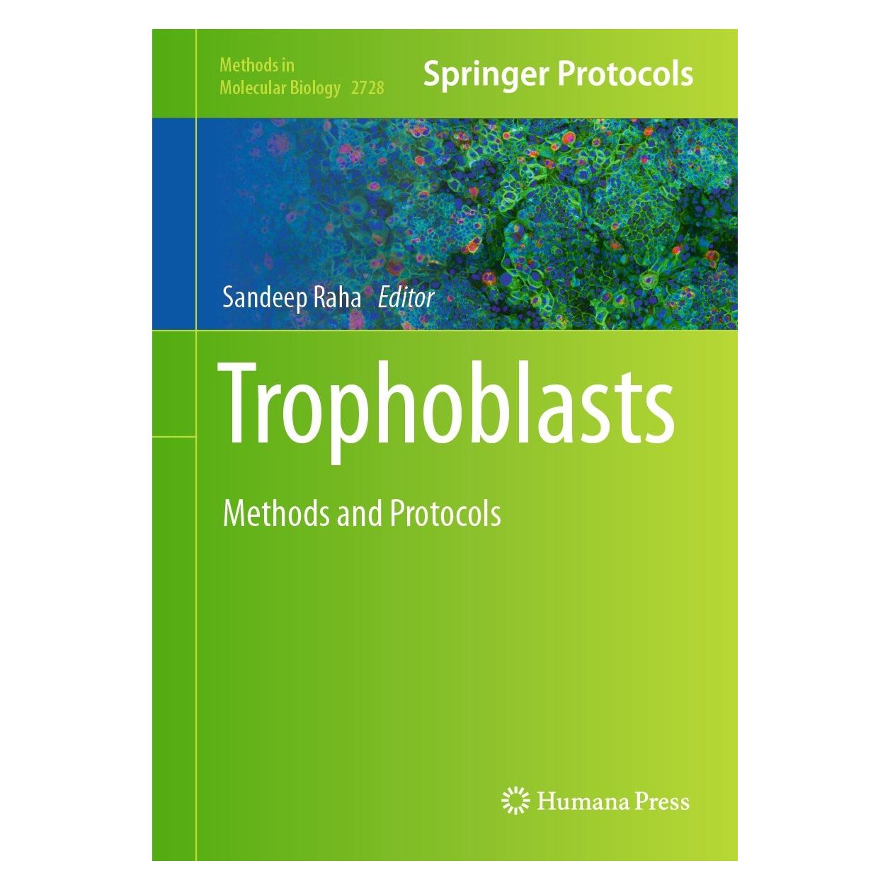 Springer Trophoblasts (Englisch, Hardcover, Sandeep Raha) (9781071634943)