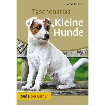 Kleine Hunde, Taschenbuch von Anna Laukner, Verlag Eugen Ulmer, 978-3-8001-7655-7