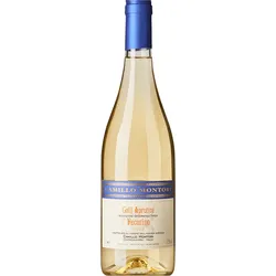 ́Casa Montori ́ · Pecorino Terre d'Abruzzo IGT 2024, Camillo Montori, Abruzzen