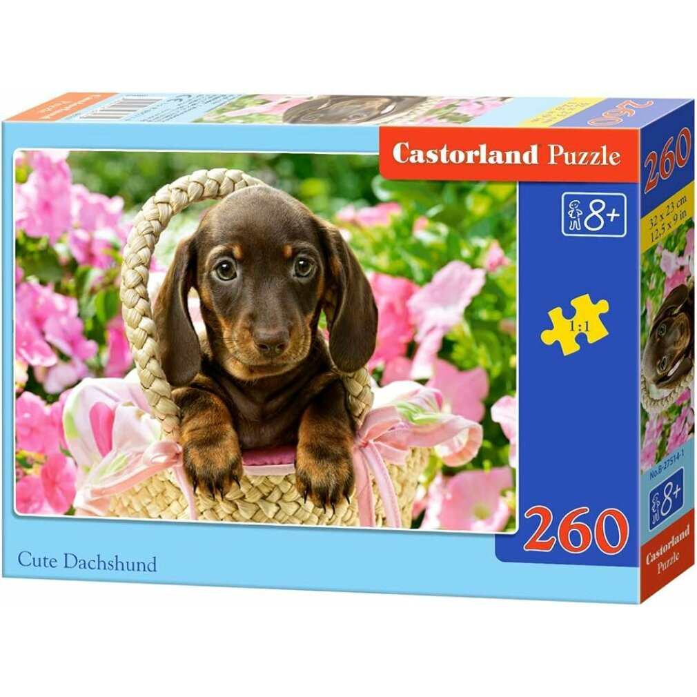 Castorland Puzzel Catelus 27514 - 260 stukjes