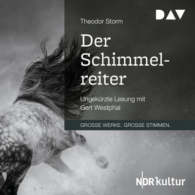 Der Schimmelreiter - Theodor Storm, Audio, 9783742415349