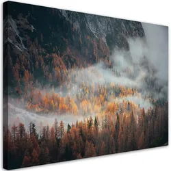 WANDBILD landschaft wald im nebel