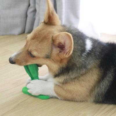 PetsAreLife Dog Toothbrush Toy Dog Toothbrush Toy