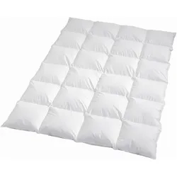 Traumschlaf, Duvet, Diamant (900 g, Daune, 155 x 220 cm)