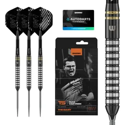 Winmau Gian van Veen TS Switch Points Steeldarts