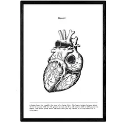 POSTER Anatomie Herz A4 Schwarzer Rahmen