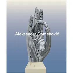 Aleksandra Domanović, Fachbücher von Aleksandra Domanović, Michelle Cotton