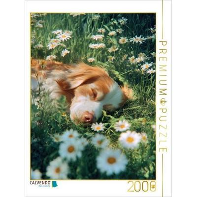 CALVENDO Puzzle Nicht kann mich jetzt aus der Ruhe bringen | 2000 Teile Lege-Größe 90 × 67 cm Foto-Puzzle für glückliche Stunden, von , Calvendo