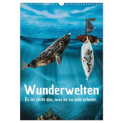 Wunderwelten - Es ist nicht das, was es zu sein scheint. (Wandkalender 2026 DIN A3 hoch), CALVENDO Monatskalender