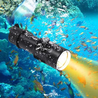 Compact Waterproof Dive Light For Scuba Diving And Underwater Exploration Compact Waterproof Dive Light For Scuba Diving And Underwater Exploration