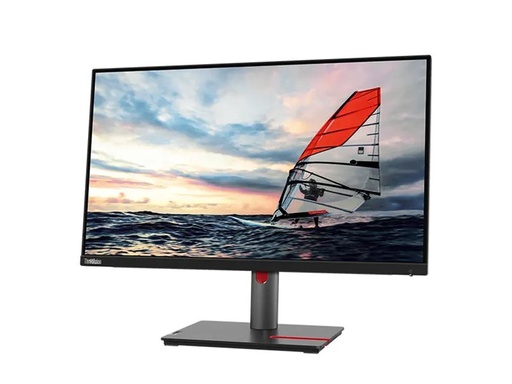 Lenovo ThinkVision P25i-30 - LED-Monitor - 63.5 cm (25") (63F4MAT1EU)