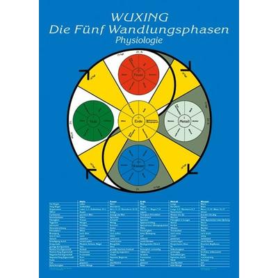 Lehrtafel: Wuxing - Die Fünf Wandlungsphasen: Physiologie, Sonstige von Florian Ploberger, Bacopa, 978-3-901618-03-1