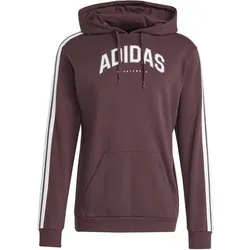 ADIDAS Herren Kapuzensweat Codes Collegiate Graphic, Größe L in Braun Braun