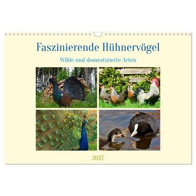 Faszinierende Hühnervögel (Wandkalender 2027 DIN A3 quer), CALVENDO Monatskalender