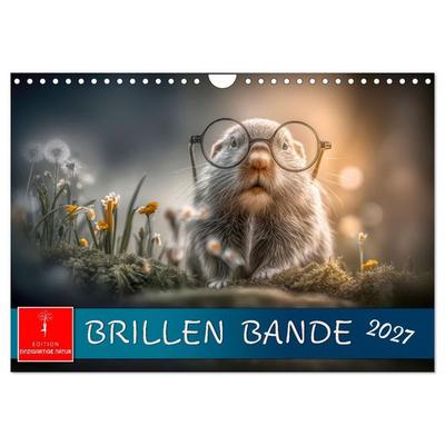 Brillen Bande (Wandkalender 2027 DIN A4 quer), CALVENDO Monatskalender