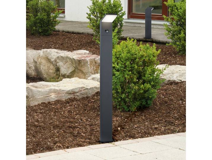 Trio Lighting LED-Sensor-Wegelampe PEARL, Höhe 50 cm anthrazit Metall IP54 PEARL, schwarz, Aluminium, Modern