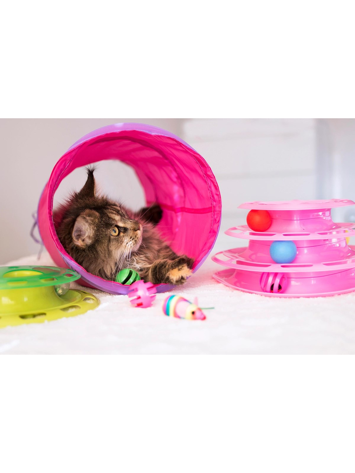 Dogman Faltbarer Spieltunnel für Katzen 25x60cm