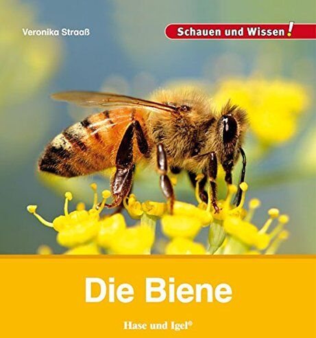 Veronika Straaß - Die Biene: Schauen und Wissen! - Preis vom 18.10.2026 15:28:09 h