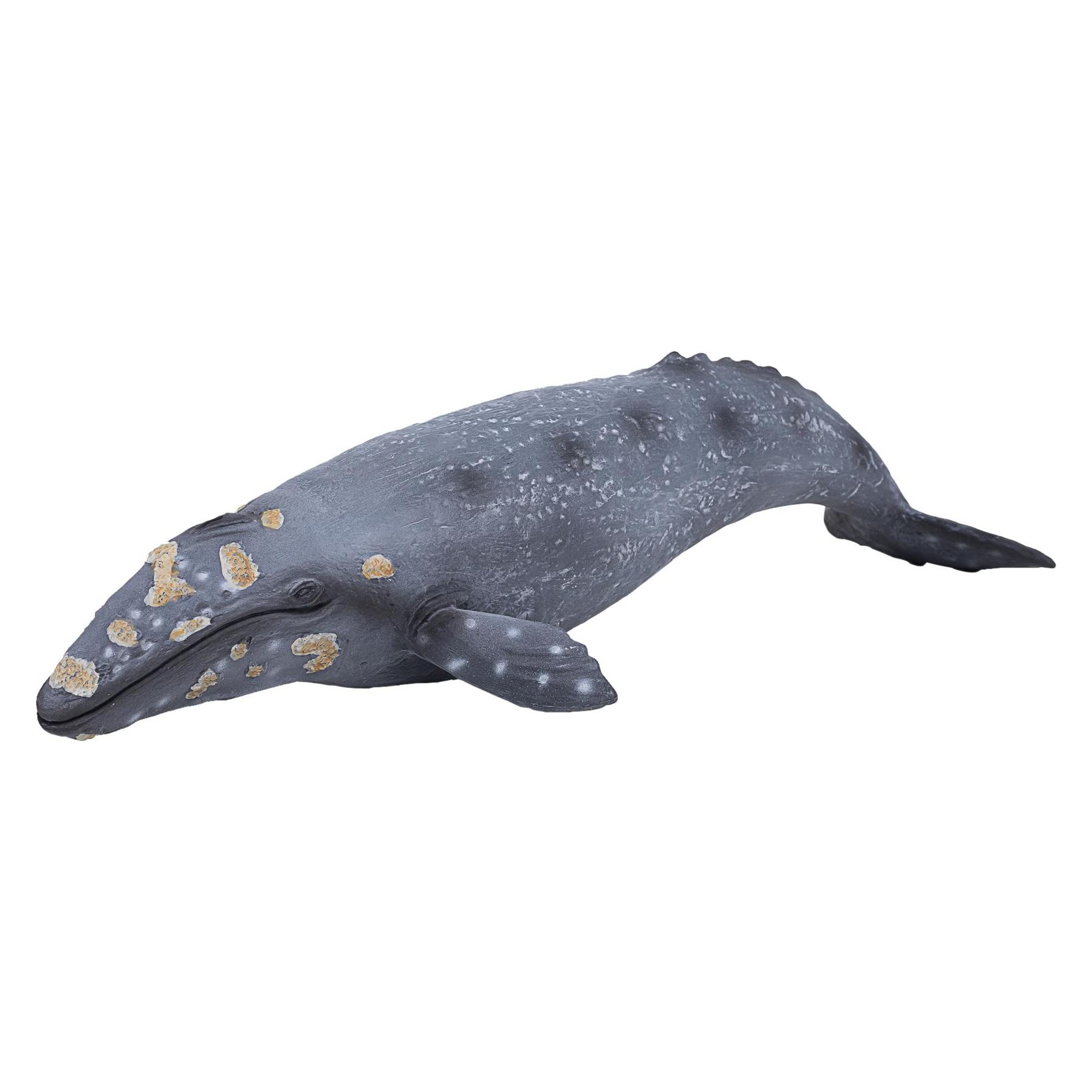 Animal Planet Grauwal (MJ-387280)