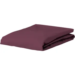 Premium Percale Bettlaken mit Gummizug 90 x 220 cm violett