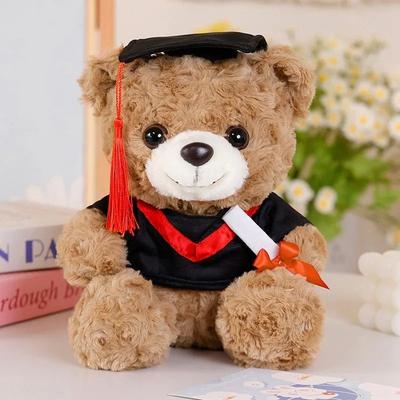 Uplifted Finds Dr Bear 25cm Graduation Plush Toy brown red