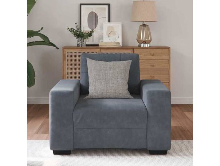 Promotion Noël）Fauteuil simple - Chaise-Canapé en tissu - 100x78x80 gris foncé 60cm velours EU25_26549302