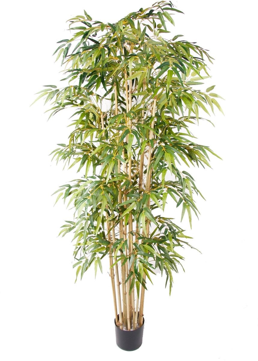 Emerald Kunstplant Bamboe Deluxe 205 cm - Groene kunstplant voor binnen