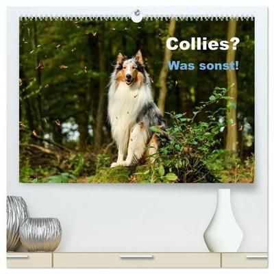 Collies? Was sonst! (hochwertiger Premium Wandkalender 2027 DIN A2 quer), Kunstdruck in Hochglanz