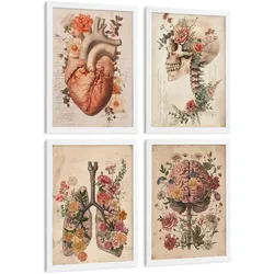 POSTER Set aus 4 Vintage Anatomie Drucke und Wandbilder mit Blumen Herz Lungen Schädel und Gehirn Medizinische Wanddekoration Größe Weißer Rahmen A4