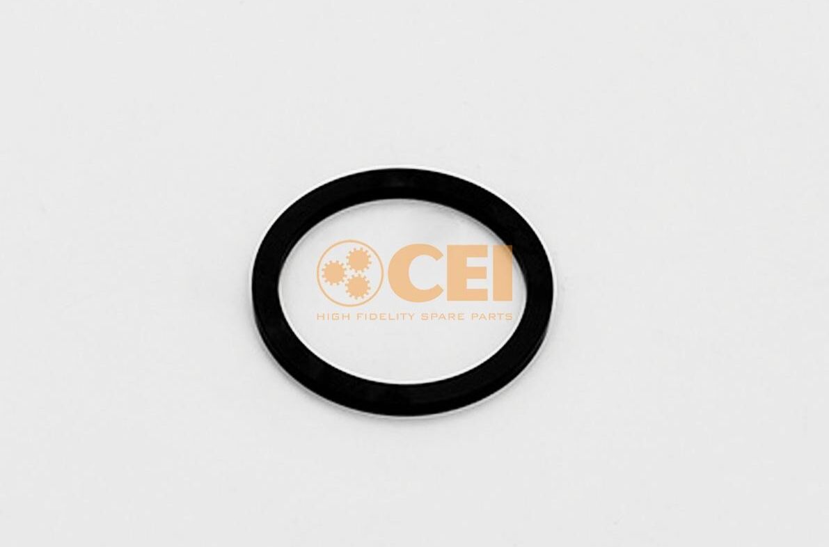 CEI 169.776 Circlip