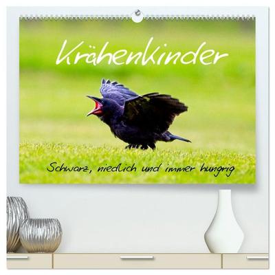 Krähenkinder - Schwarz, niedlich und immer hungrig (hochwertiger Premium Wandkalender 2027 DIN A2 quer), Kunstdruck in Hochglanz