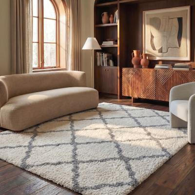 SAFAVIEH Parma Shag Fenella Trellis 1.2-inch Thick Rug