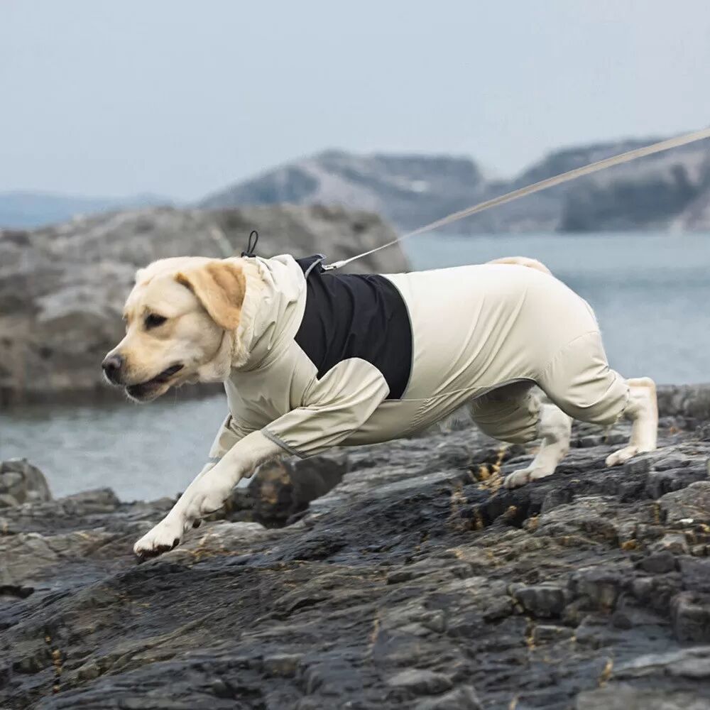 INF Wasserdichter Hunde Regenmantel XL
