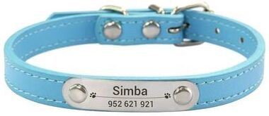 Uplifted Finds Heritage Elite Personalized Vegan Leather Collar blue m