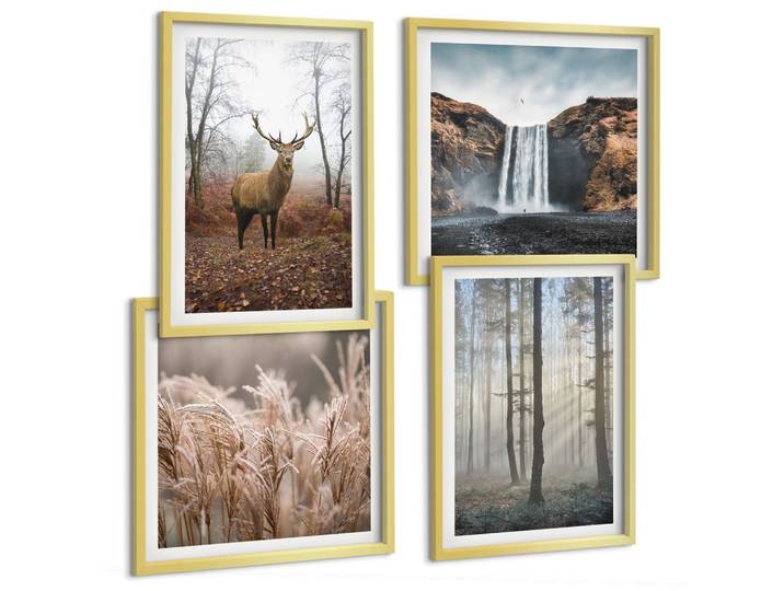 BILDER SET 4er Set - 50x50 cm & 40x60 cm Goldrahmen - Waldlandschaften der Wildnis