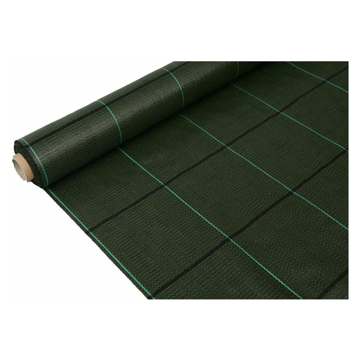 Faura Anti-grass mesh 100g/m² green 1 x 100 m (57274221)