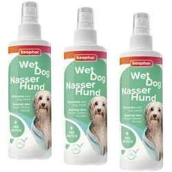 Beaphar Nasser Hund Spray 3x 250 ml - neutralisiert den Geruch von Hunden