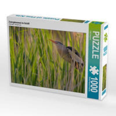 CALVENDO Puzzle Zwergdommel im Schilf | 1000 Teile Lege-Größe 64x48cm Foto-Puzzle für glückliche Stunden